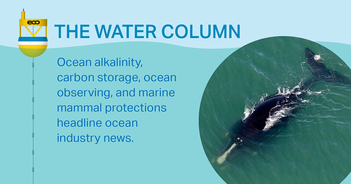 Ocean alkalinity, carbon storage, ocean observing, and marine mammal protections headline ocean industry news.