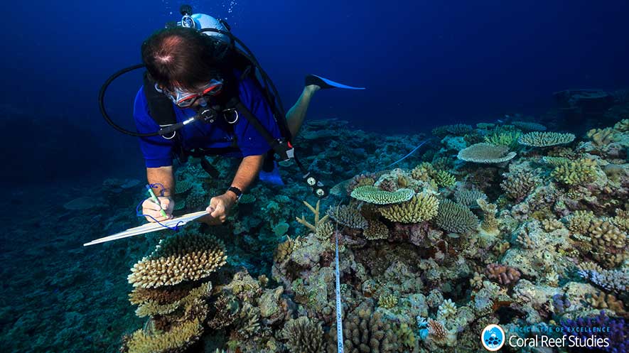Bleaching Devastates Great Barrier Reef Research News