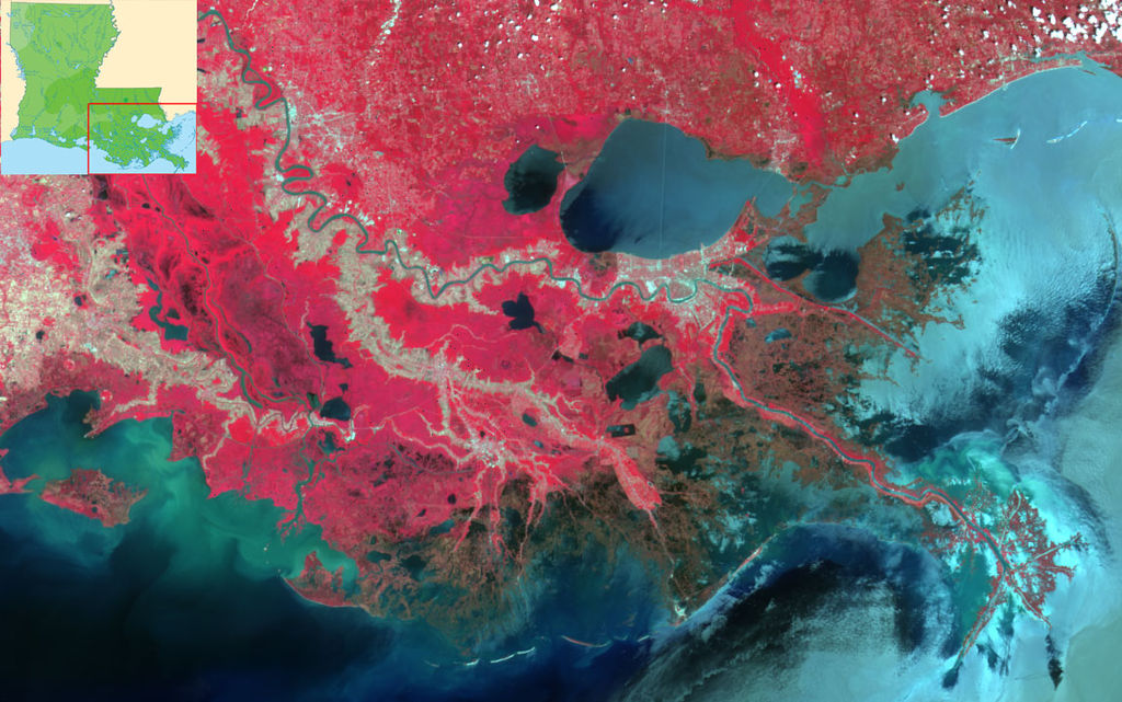EMBED 2 Mississippi Delta false color image