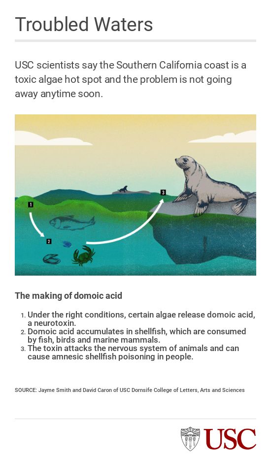 EMBED 3 domoic acid graphic