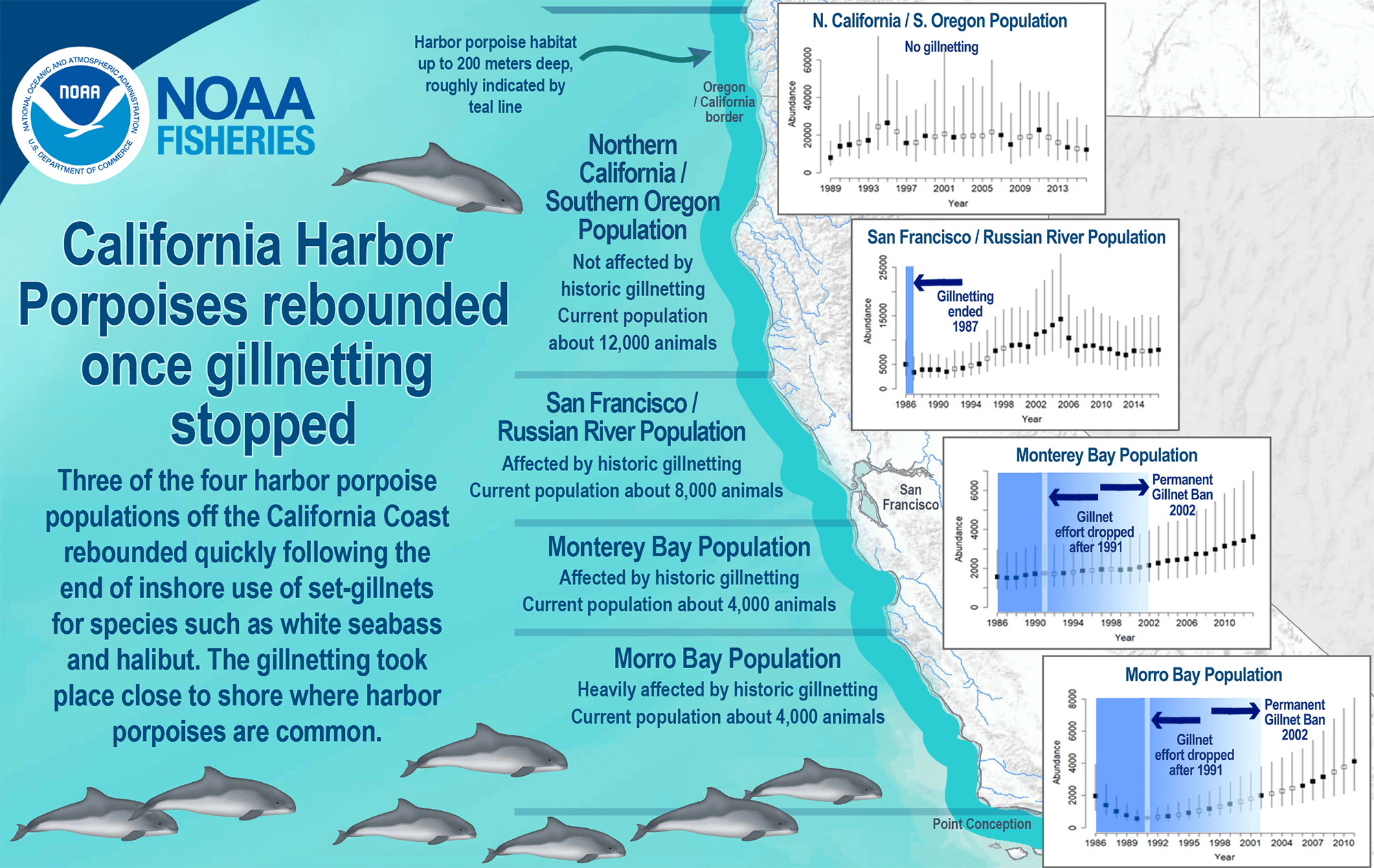 EM1 harbor porpoise infographic