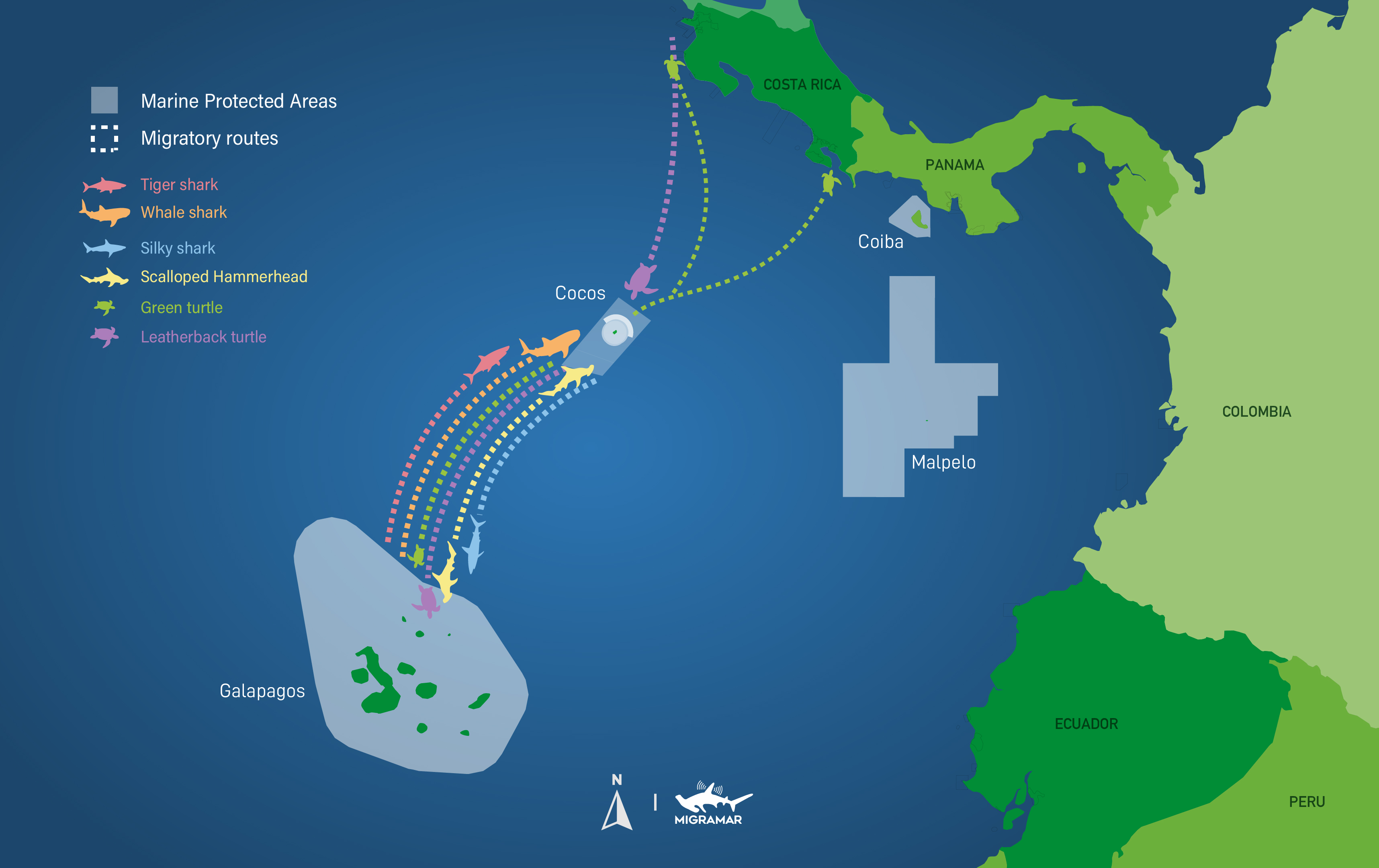 Map MigraVía Coco Galápagos2x 100