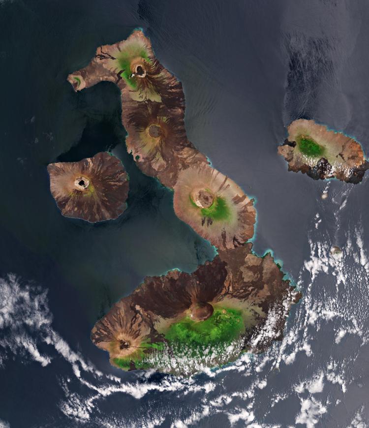 EMBED galapagos islands esa23188644 isabela