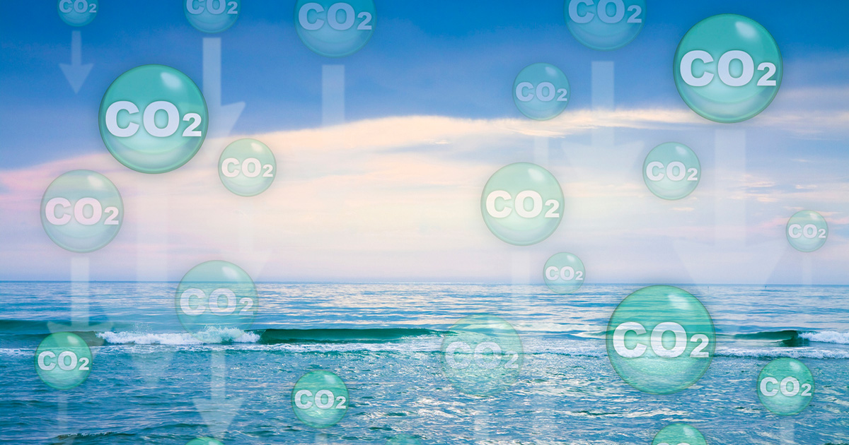 Ocean Acidification: Time is Running Out