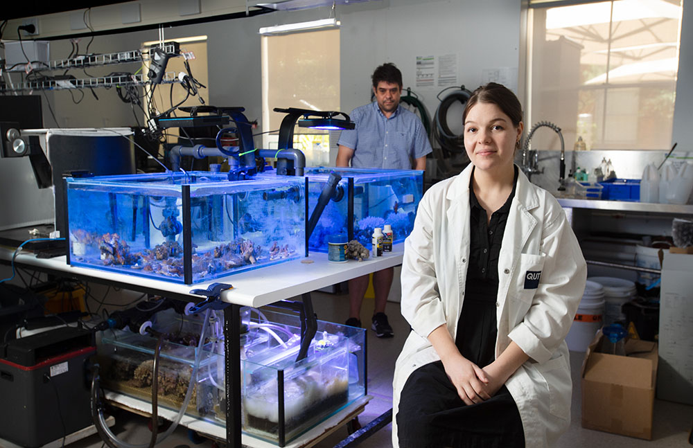 QUT PhD researcher Lauren Ashwood, right, researching Australian sea anemone toxins, pictured with Associate Professor Peter Prentis.