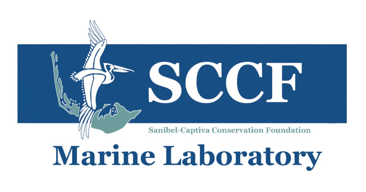Marine Laboratory Internship at the Sanibel-Captiva Conservation Foundation