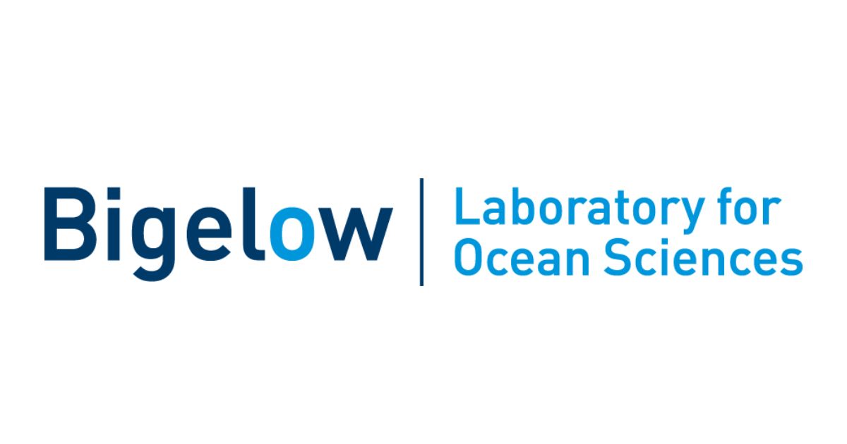 Ocean Career: Postdoctoral Scientist in Blue Carbon Biogeochemistry at Bigelow Laboratory for Ocean Sciences