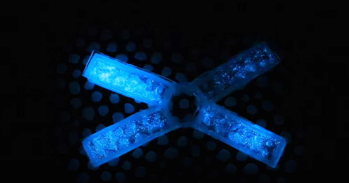 Algae-powered Devices Glow in the Dark When Squished or Stretched