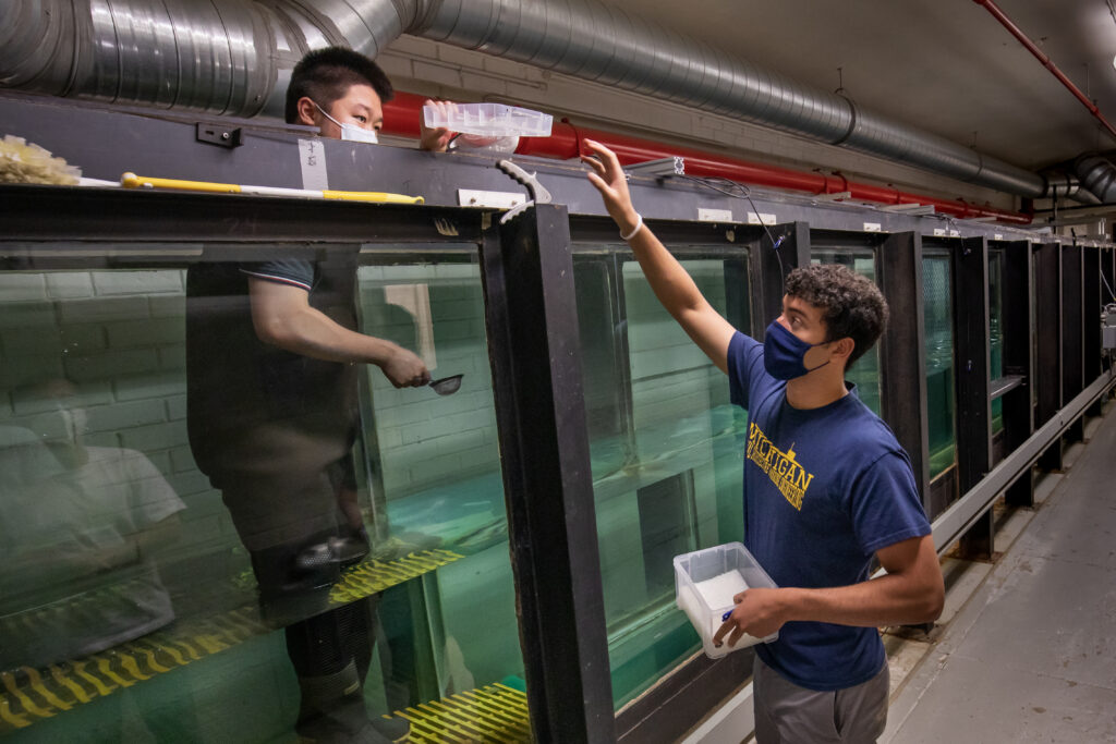 Yukun Sun, a graduate student research assistant, and William Leal, a research assistant, both in the Department of Naval Architecture and Marine Engineering at the University of Michigan, work together to set up an experiment where microplastic pellets are placed on the surface of the water in the wind wave tank at the Marine Hydrodynamics Laboratory to determine how they effect measurements of surface roughness on June 18, 2021.A University of Michigan research team discovered in 2021 that data recorded by the Cyclone Global Navigation Satellite System (CYGNSS), showed less surface roughness—that is, fewer and smaller waves—in areas of the ocean that contain microplastics, compared to clean areas. They then determined that the change in ocean roughness was actually due to the presence of surfactants, a soapy or oily residue on the surface of the water that often accompany microplastics.Photo: Robert Coelius/Michigan Engineering
