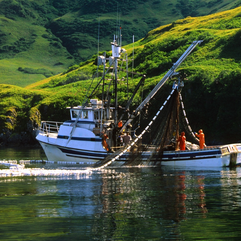 Image3 commercial fishing near kodiak island alaska istock uc santa barbara