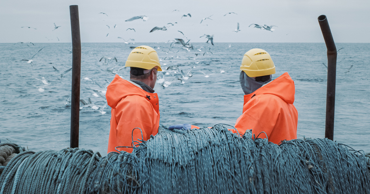 Sea-Fisheries Protection Authority Publishes Updated Fisheries Information  Notice, Fisheries & Aquaculture
