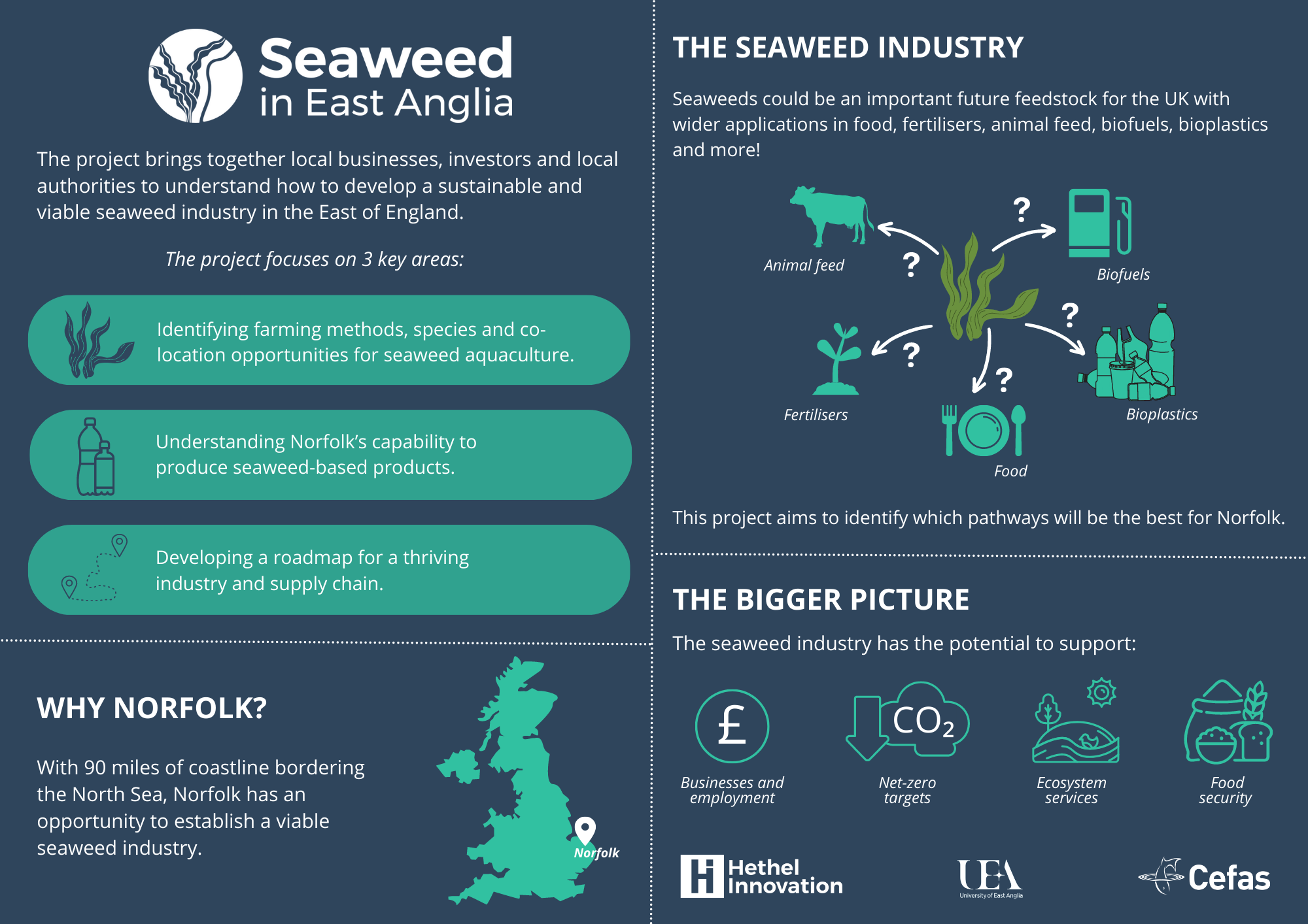 seaweed in east anglia infographic a4 document