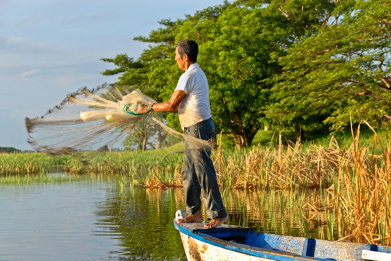 image2 Guatemala Mangrove Fishing iStock