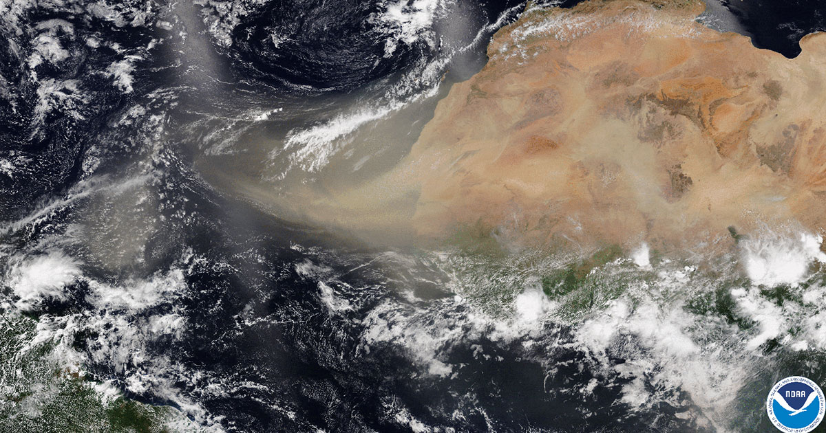 How Saharan Dust Regulates Hurricane Rainfall