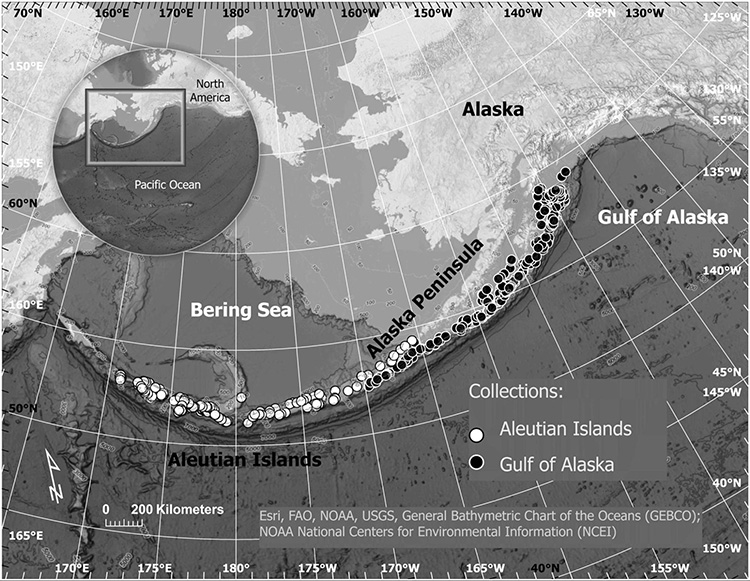 Image3 750x581 alaska otolith map asfc