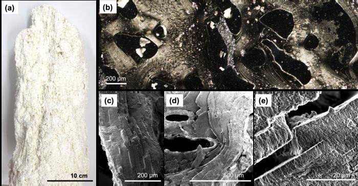 inorganicnanostructures