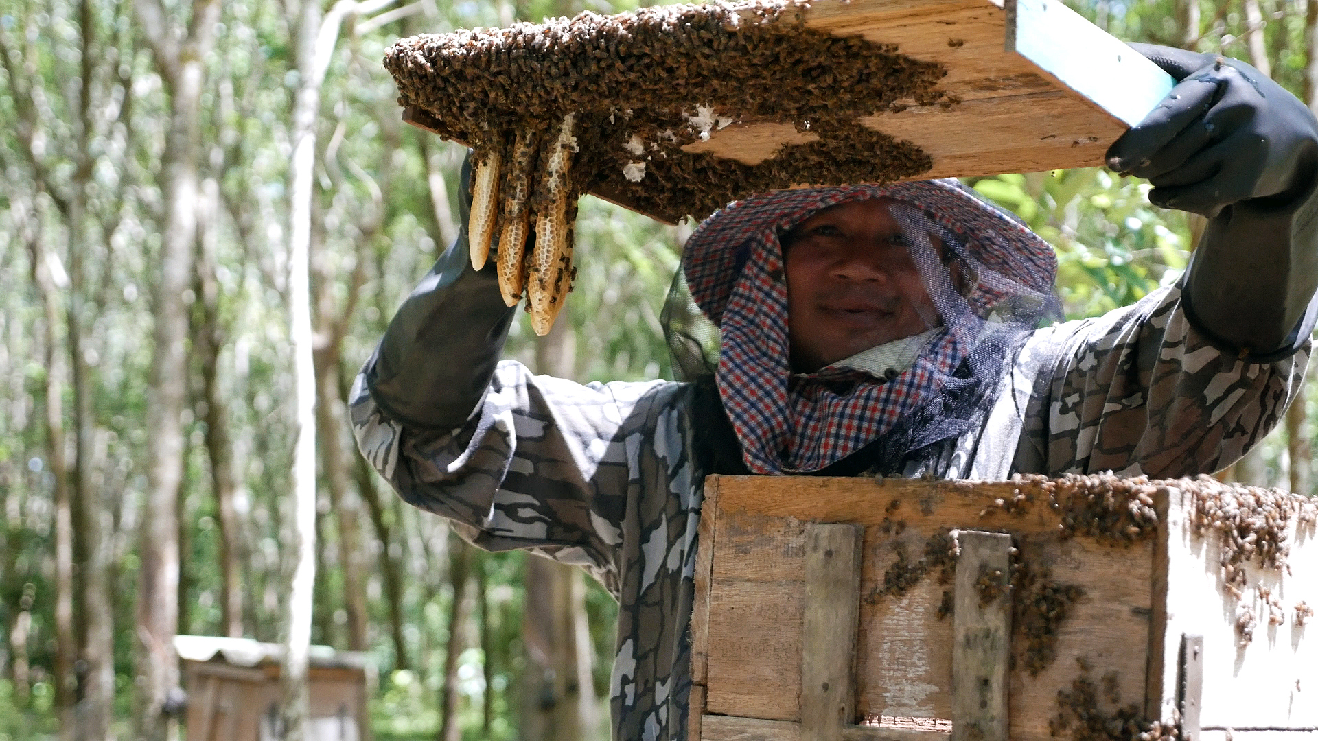 Nai Nang honey production Mangrove Action Project