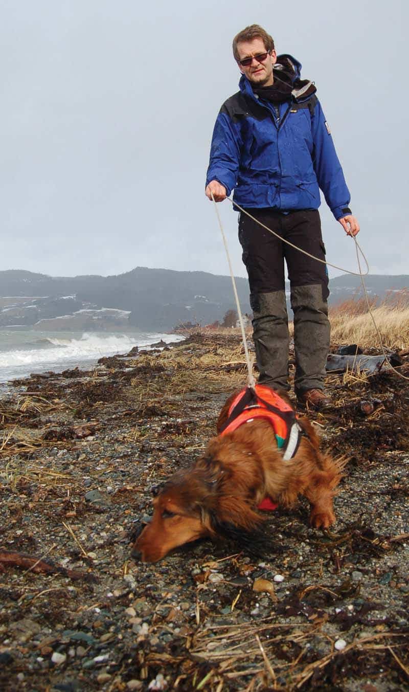 Oildog on beach2