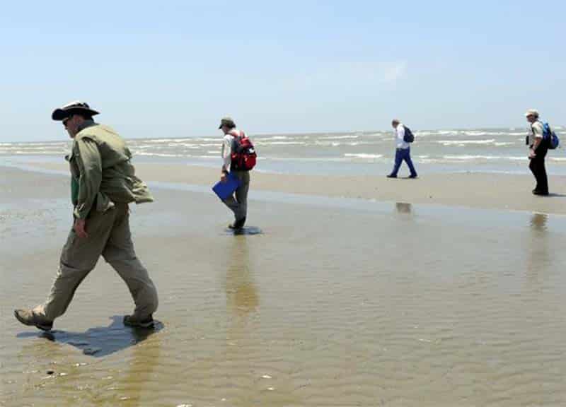 dwh shoreline survey raccoon island la may 12 2010 navy 980 copy