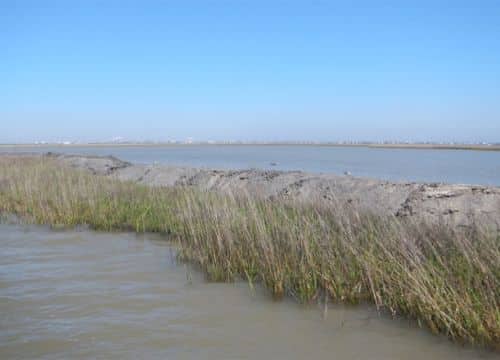 5 pierce marsh containment levee construction noaa 980