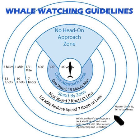 Embedded approach3a