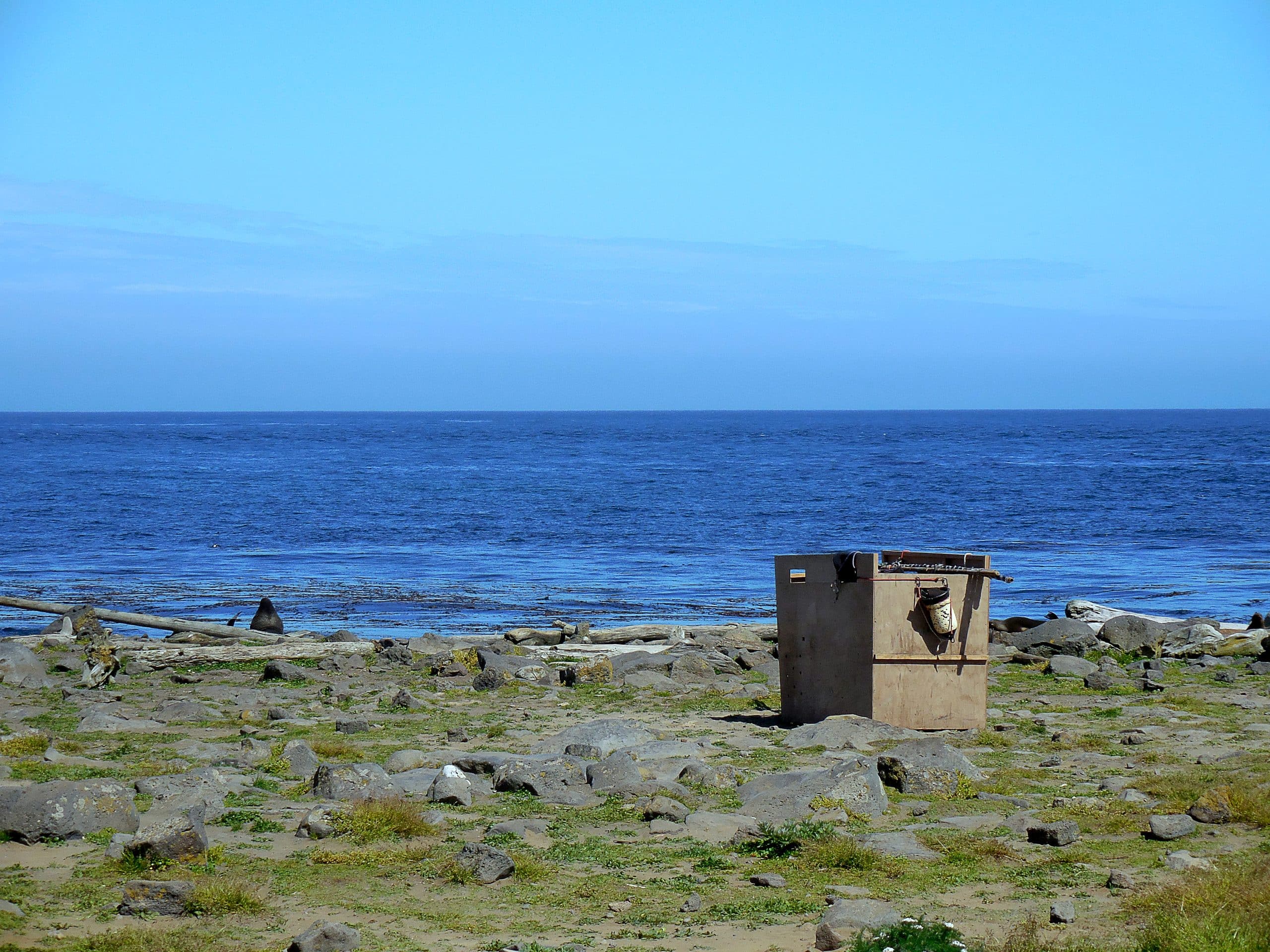 Three Box at rookery
