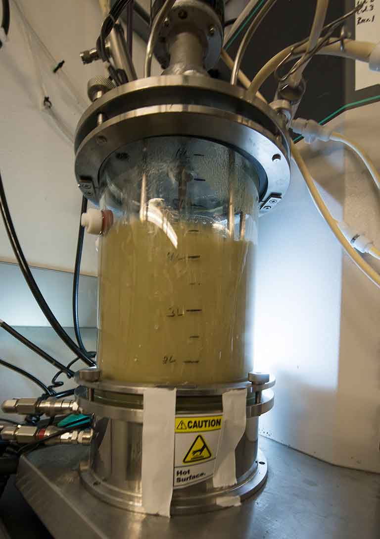 Embed 20171010 bioreactor 47789