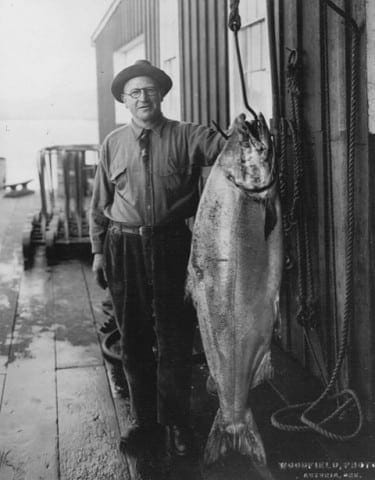 EMBED 1 Large Chinook 375x480
