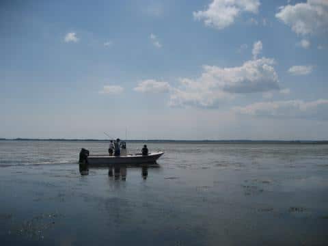 EMBED 3 Susquehanna Flats is a hotspot for striped bass fishing