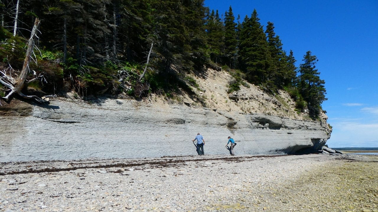 EMBED 1 Anticosti researchers gathe hero