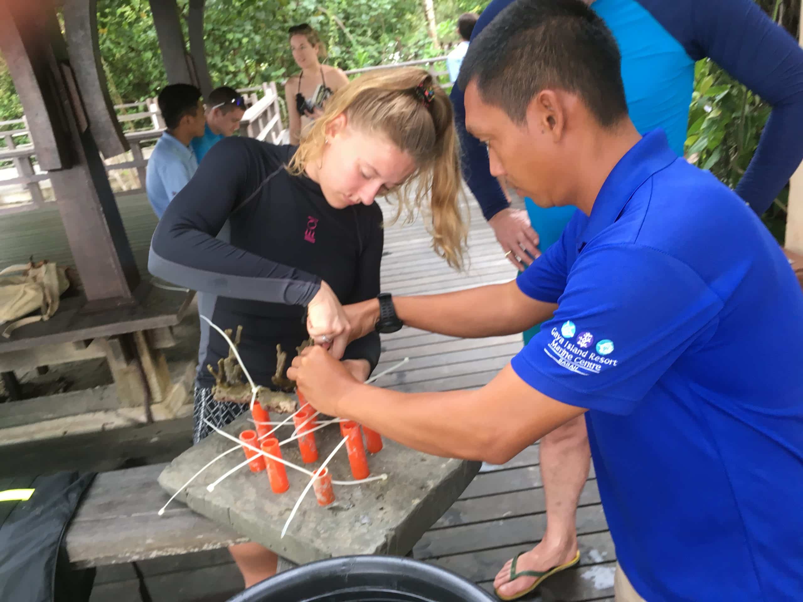 CoralPlanting3
