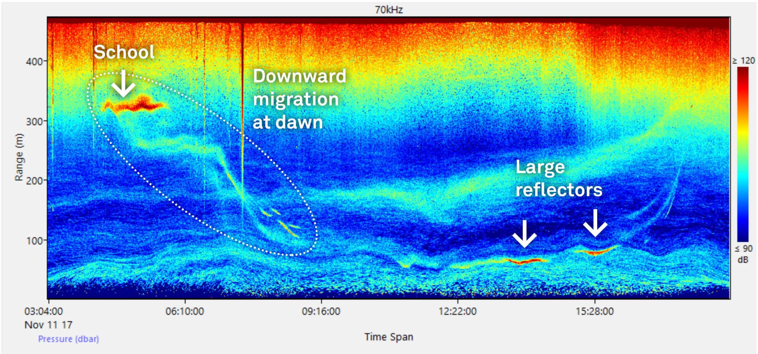 EMBED 3 Echogram plankton diving