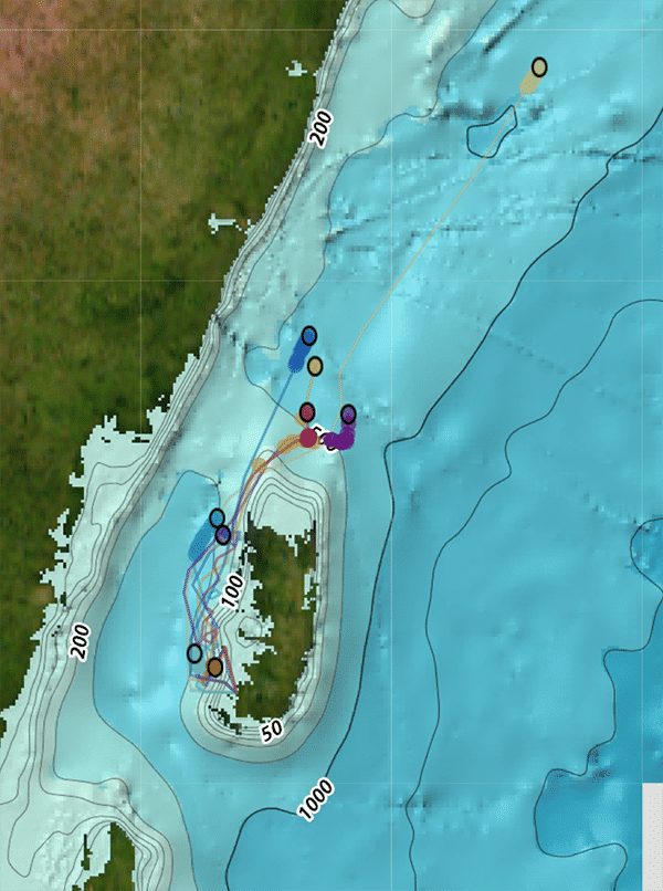 EMBED 1 Pemba drifter tracking