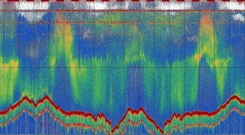 lyra echogram