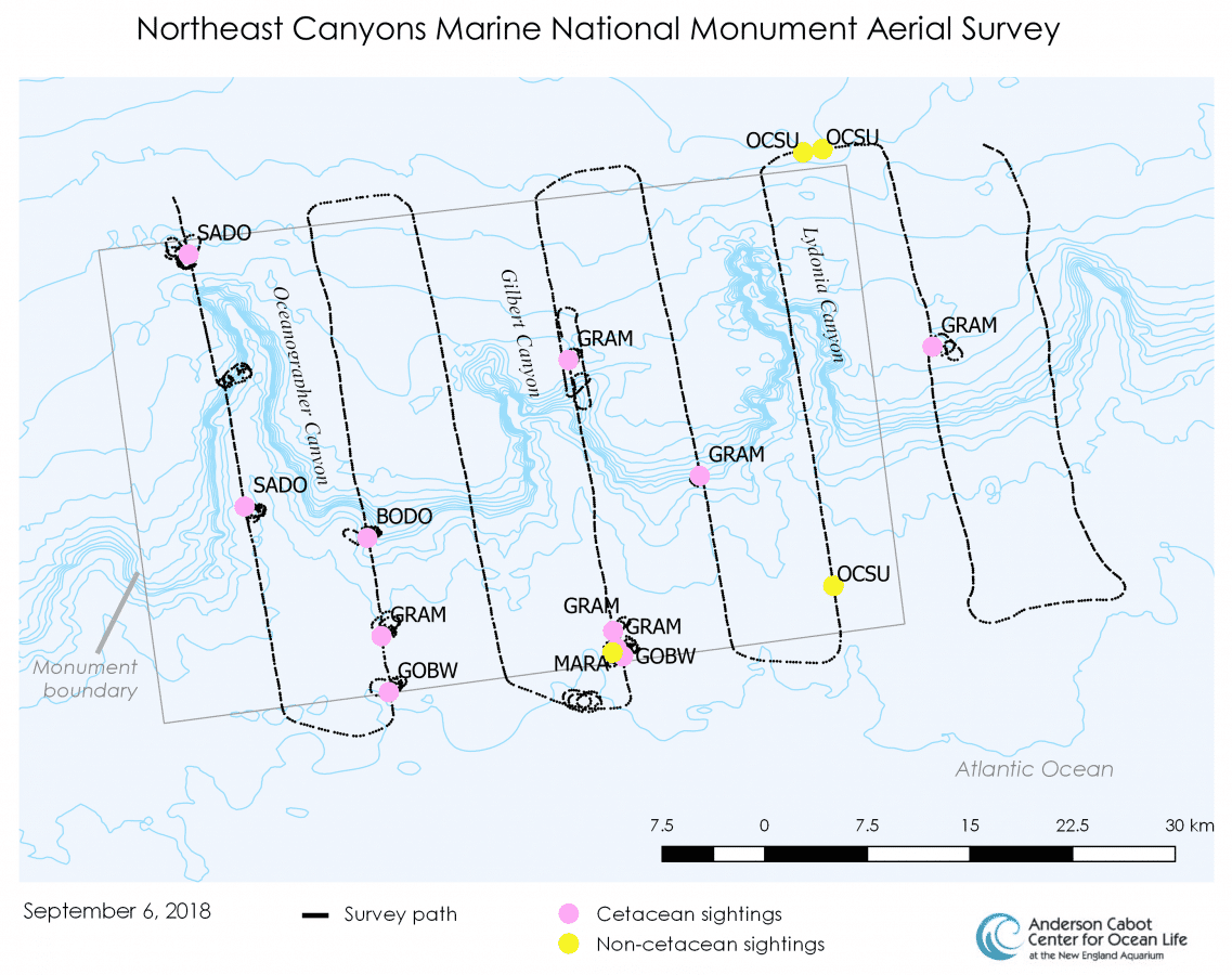 emebd MNMSurvey Map 2018.09.06 1137x900