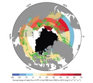 EMBED arctic blooms 300x270