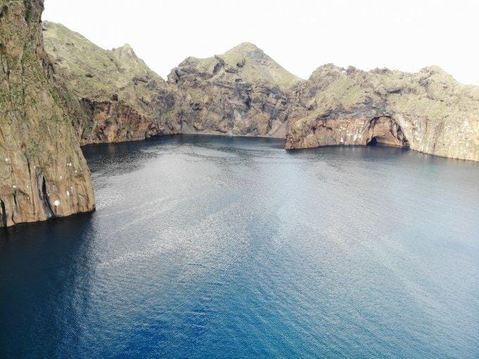 EMBED beluga sanctuary bay 0
