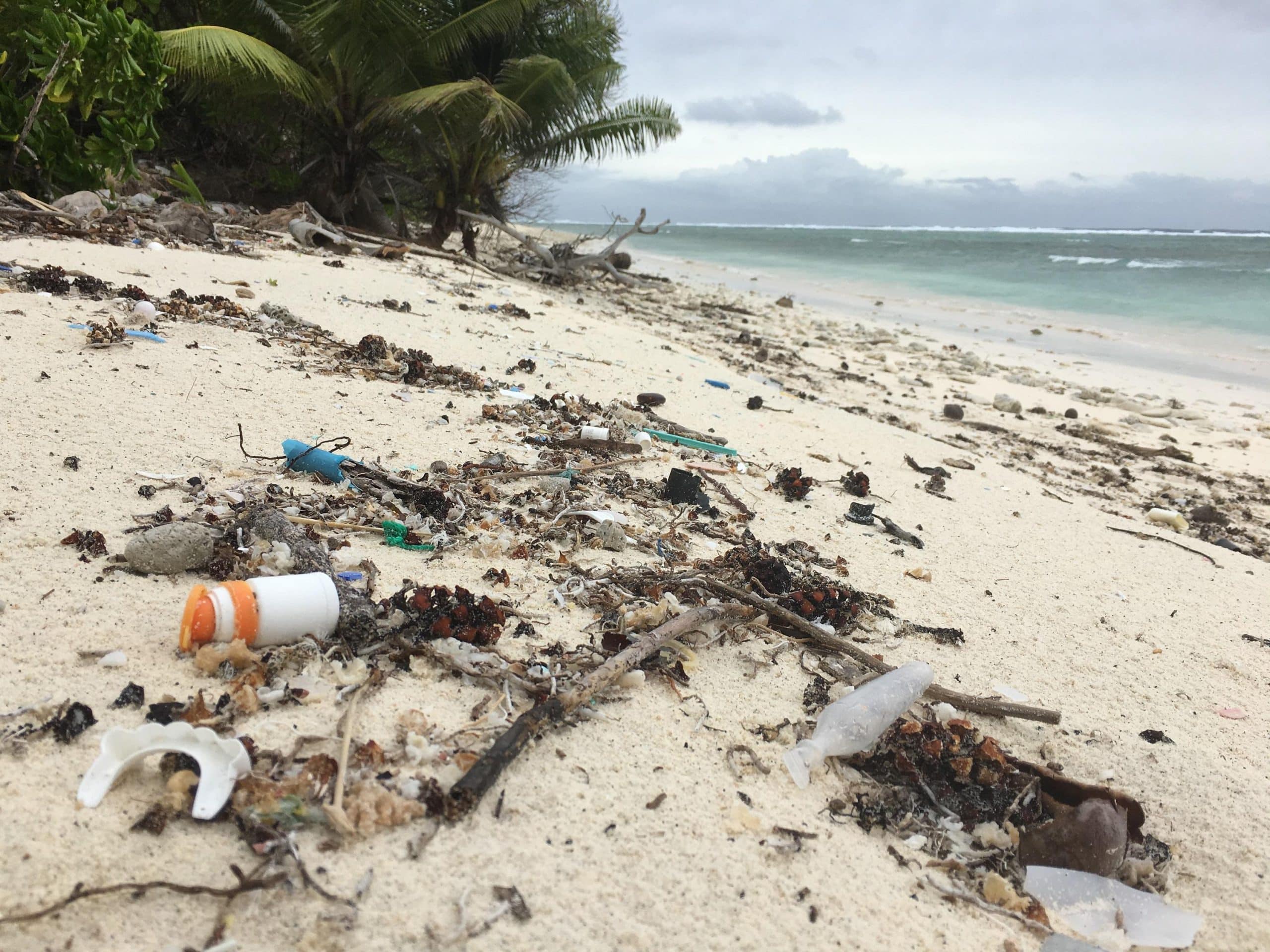 Cocos Islands beach.Credit Jennifer Lavers