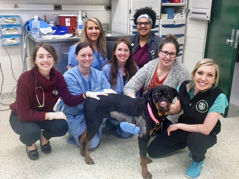 EM3 stella and vet team 2