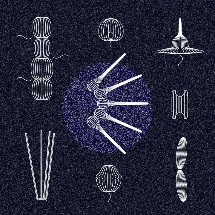 em1 202901 web
