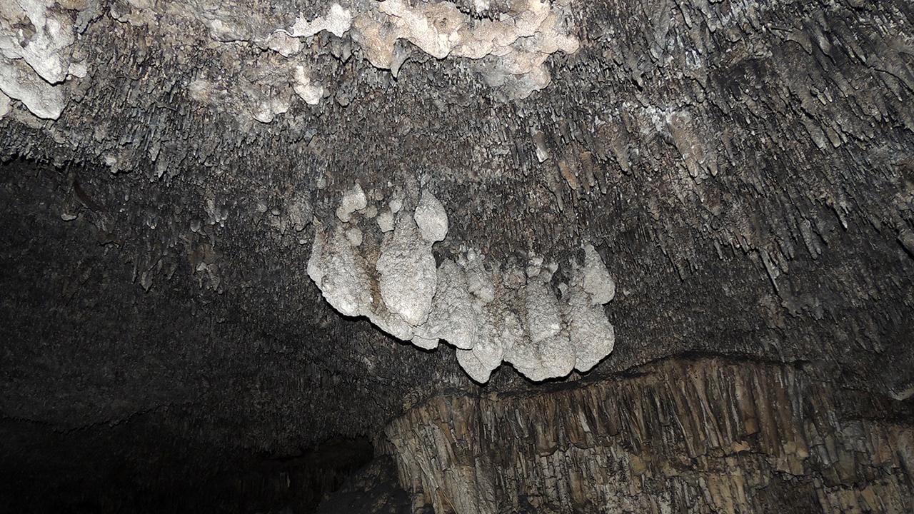 Pliocene POS 3