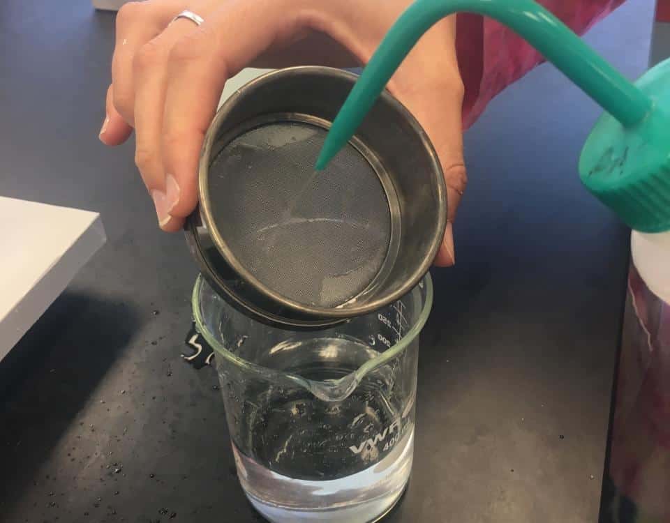 TampaMicroplasticsEmbed1