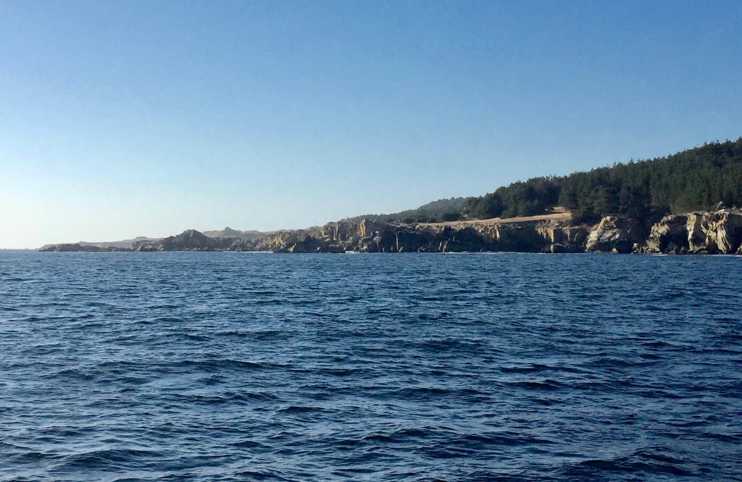 EM2 Dr Cynthia Catton CDFW Ocean Cove 9 14 2016 comparison to KJoe Surface kelp pic 1