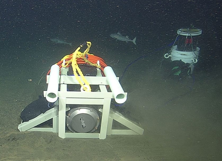 1 deep sea connect