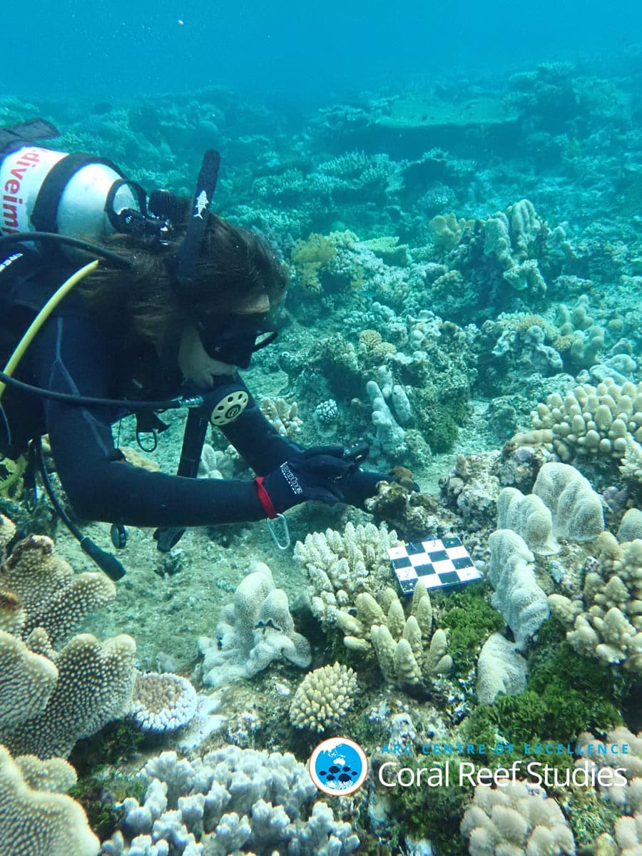 Almost every finding was new GBR voyage credit to Andrew Baird