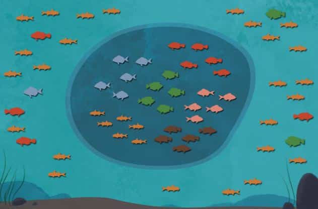 Em1 MPA fish species