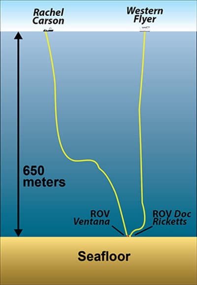2 rov rov illustration 350