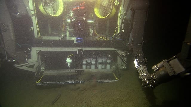 4 rov fist bump v4254 640