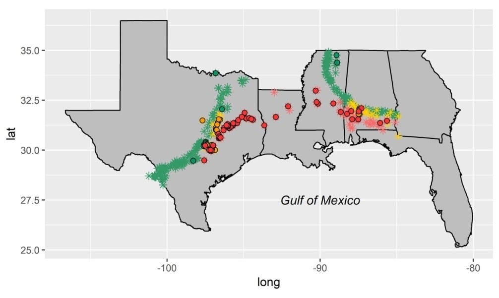 em1 Gulf coast mollusk fossil site