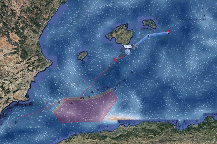 EM2 5e821639177d95026f6c53b7 SOCIB sea turtles balearic islands